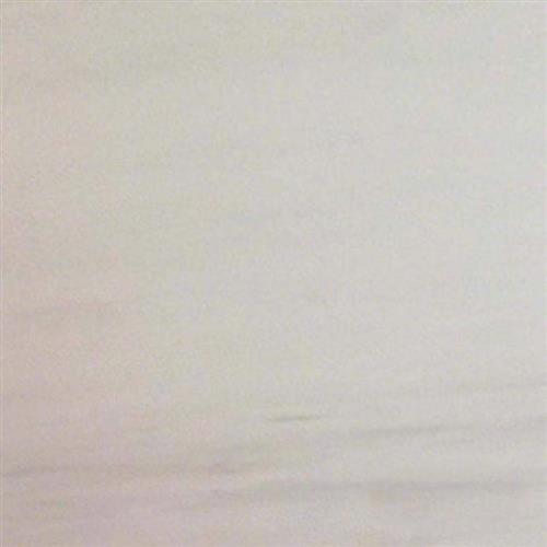 Bianco Dolomite in Bianco Dolomite - 24x24 Natural Stone
