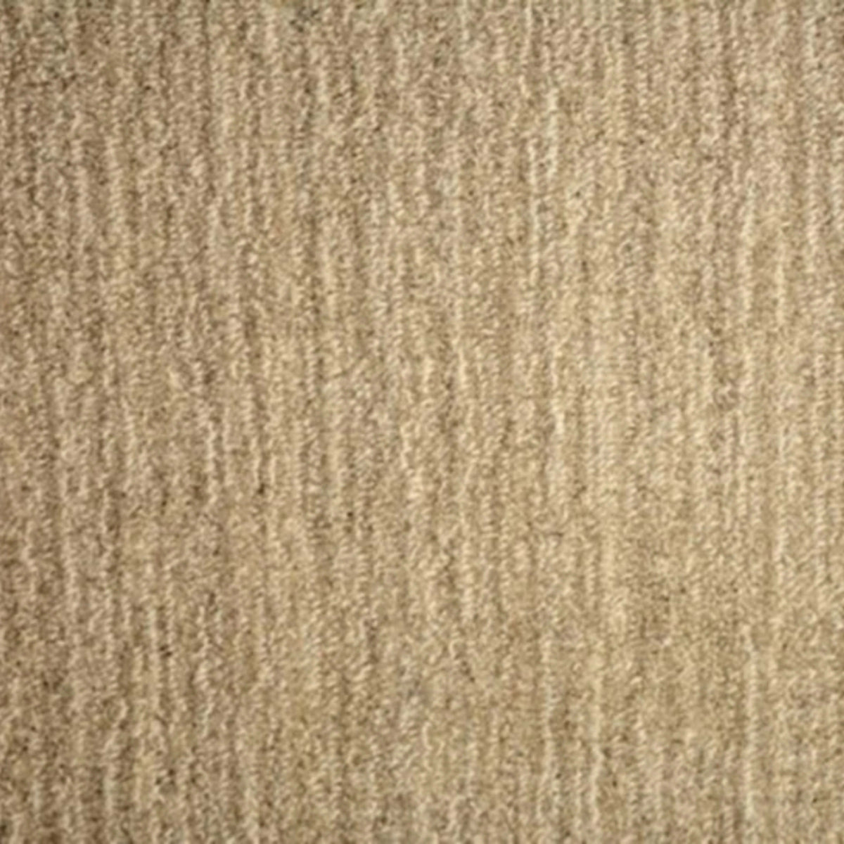 Birchwood in Shale Carpet