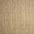 Birchwood in Shale Carpet