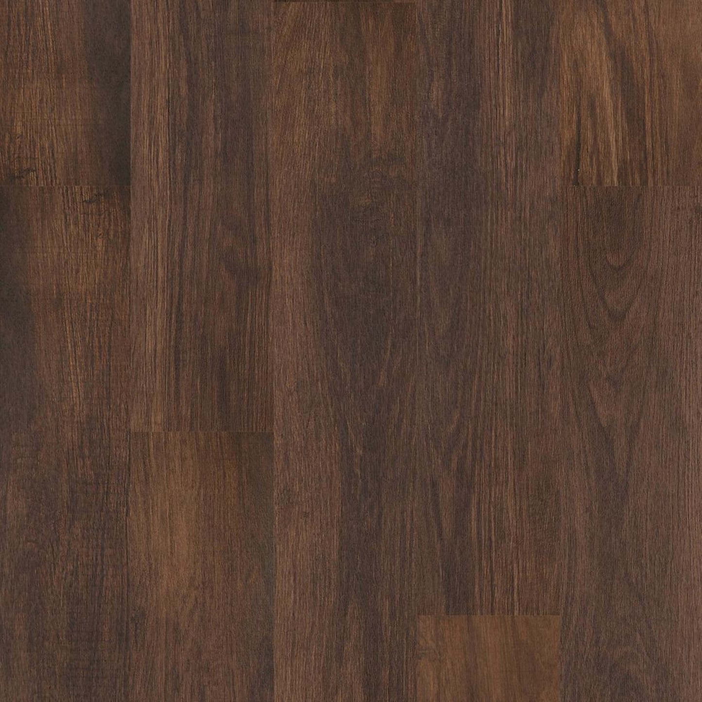 Brookbury in Hidden Forest Luxury Vinyl