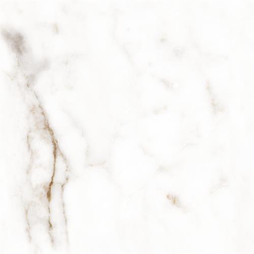 Borgia in Calcatta Gold Tile