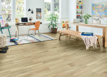 LifeSeal Classic Plus in New Moon 7.87" X 60" | Bruce