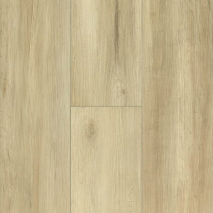 LifeSeal Classic Plus in New Moon 7.87" X 60"