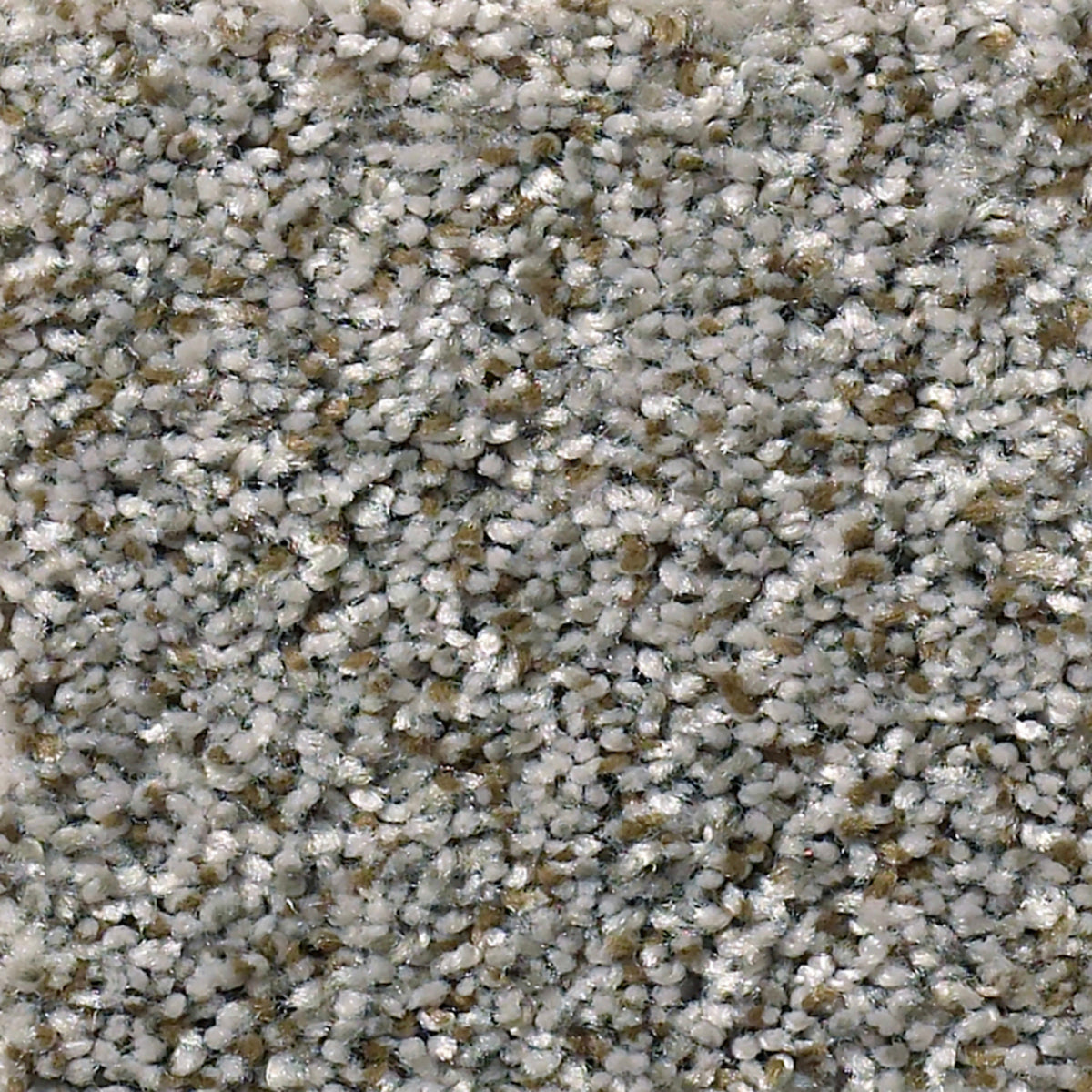 Windsor (B) in Flagstone Carpet