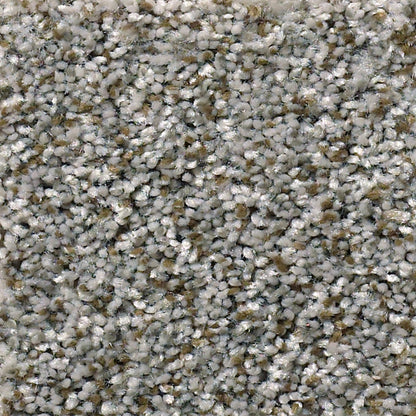 Windsor (B) in Flagstone Carpet
