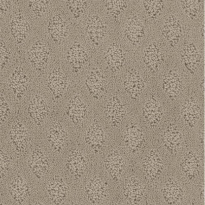 Bar Harbor in Weathered Carpet