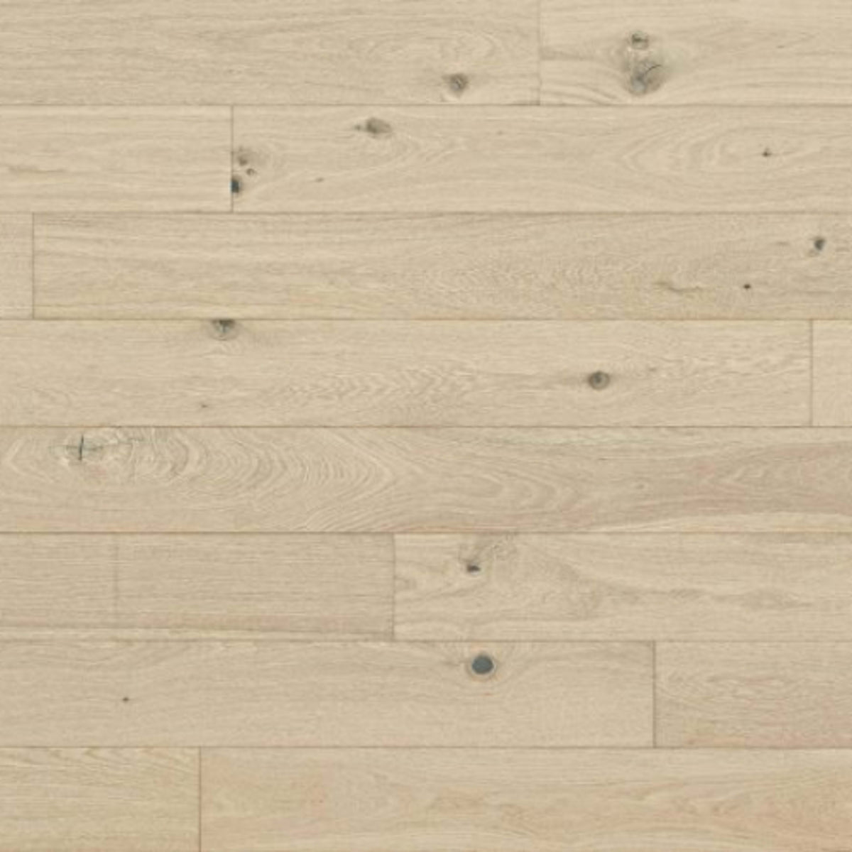 Shores in Bardabos Hardwood