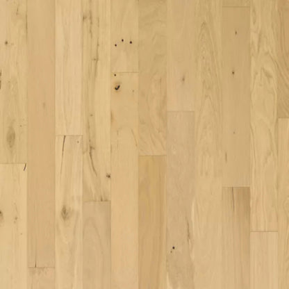 Camden Park in Barley Buff Hardwood