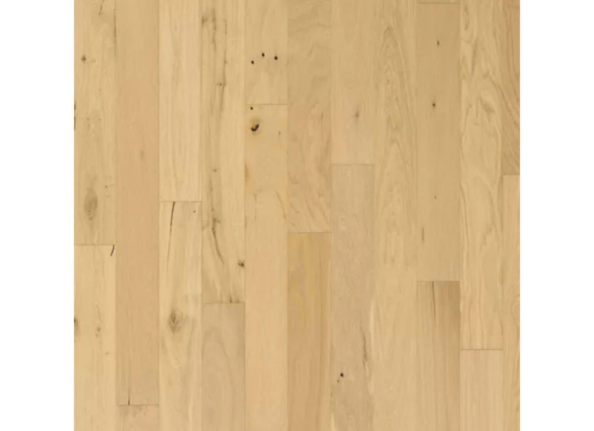 Camden Park in Barley Buff