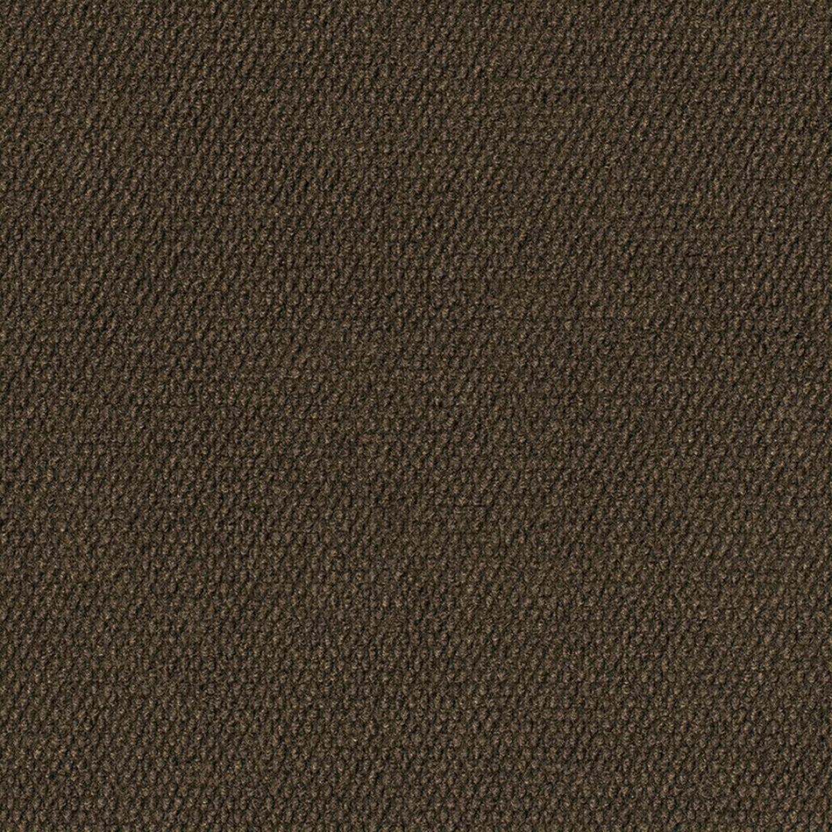 Bartow in Chocolate Carpet