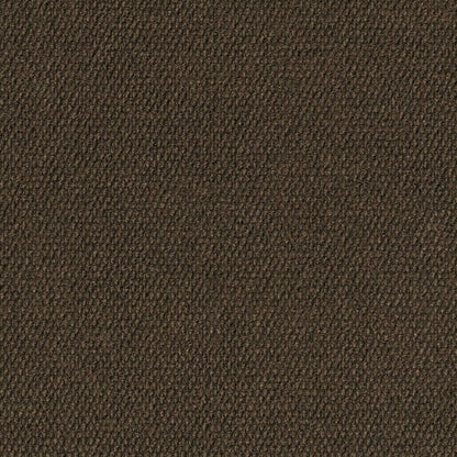 Bartow in Chocolate Carpet