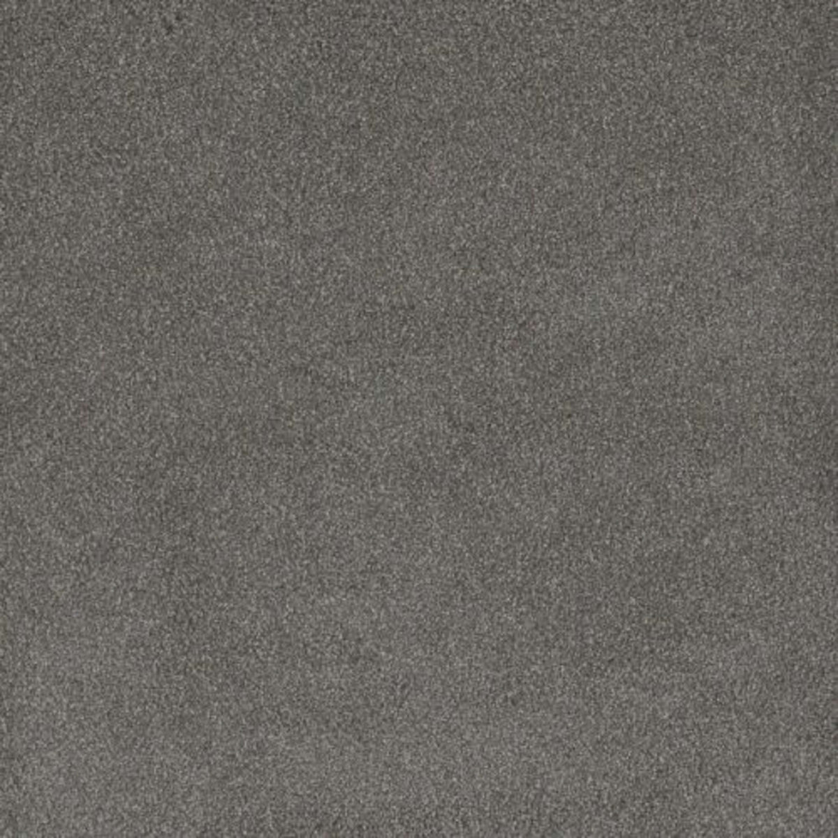 PALMETTO III in Bay Leaf Carpet
