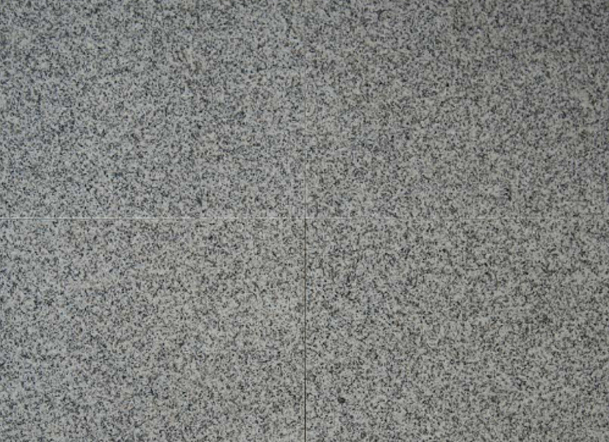Bianco Catalina in Bianco Catalina - 12x12