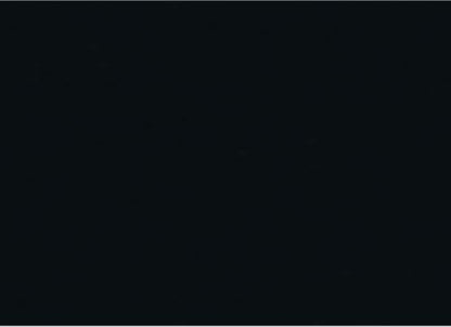 Finish Line in Black Forest Polished 12x24