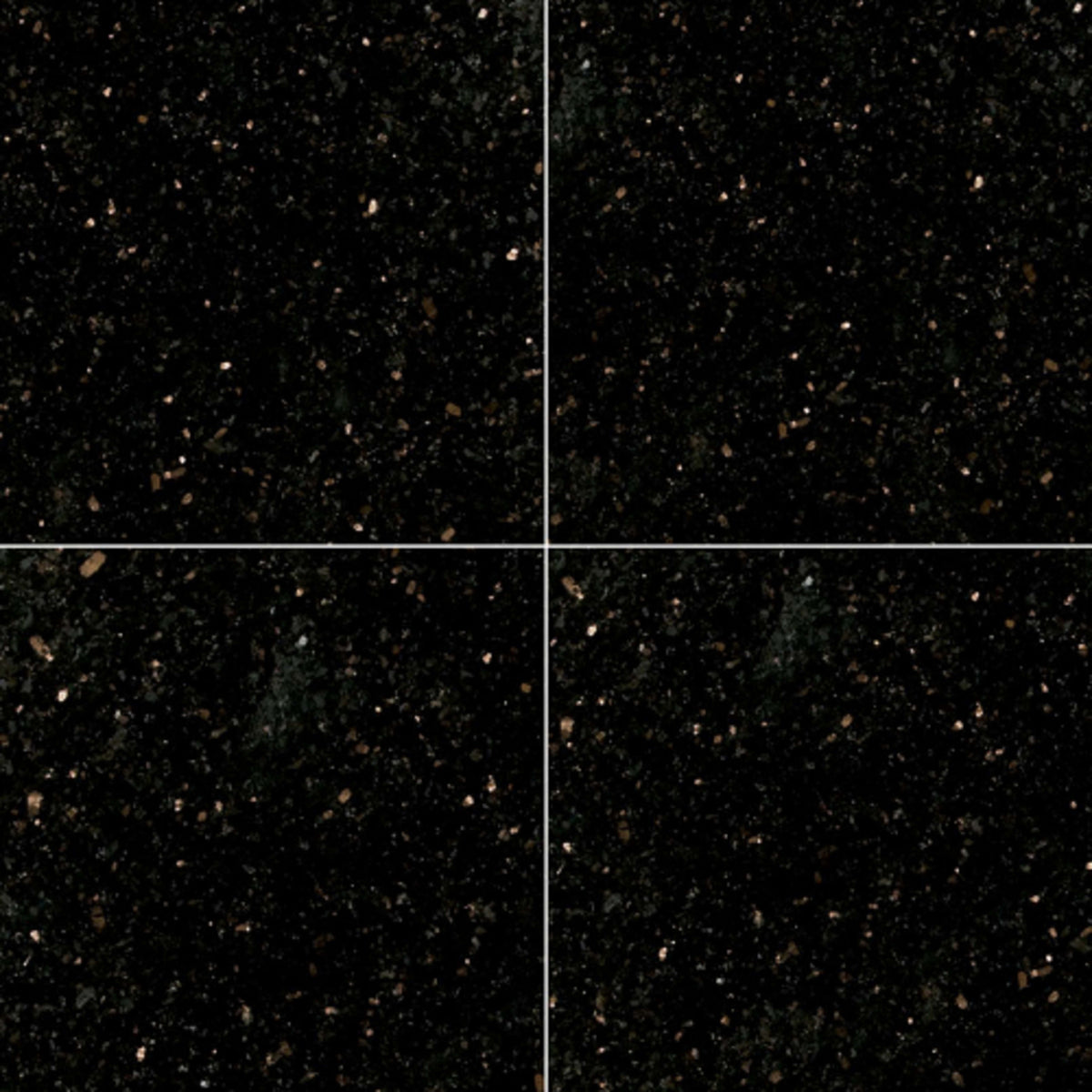 Black Galaxy in Black Galaxy - 12x12c Natural Stone