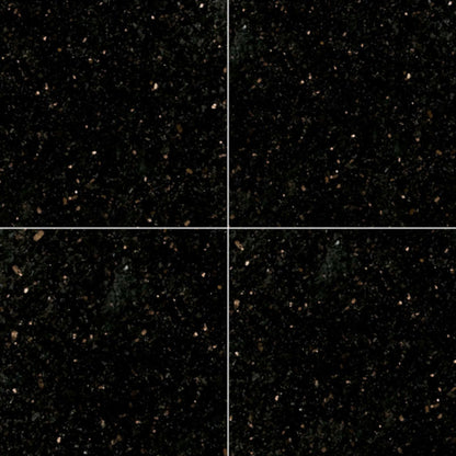 Black Galaxy in Black Galaxy - 12x12 Natural Stone