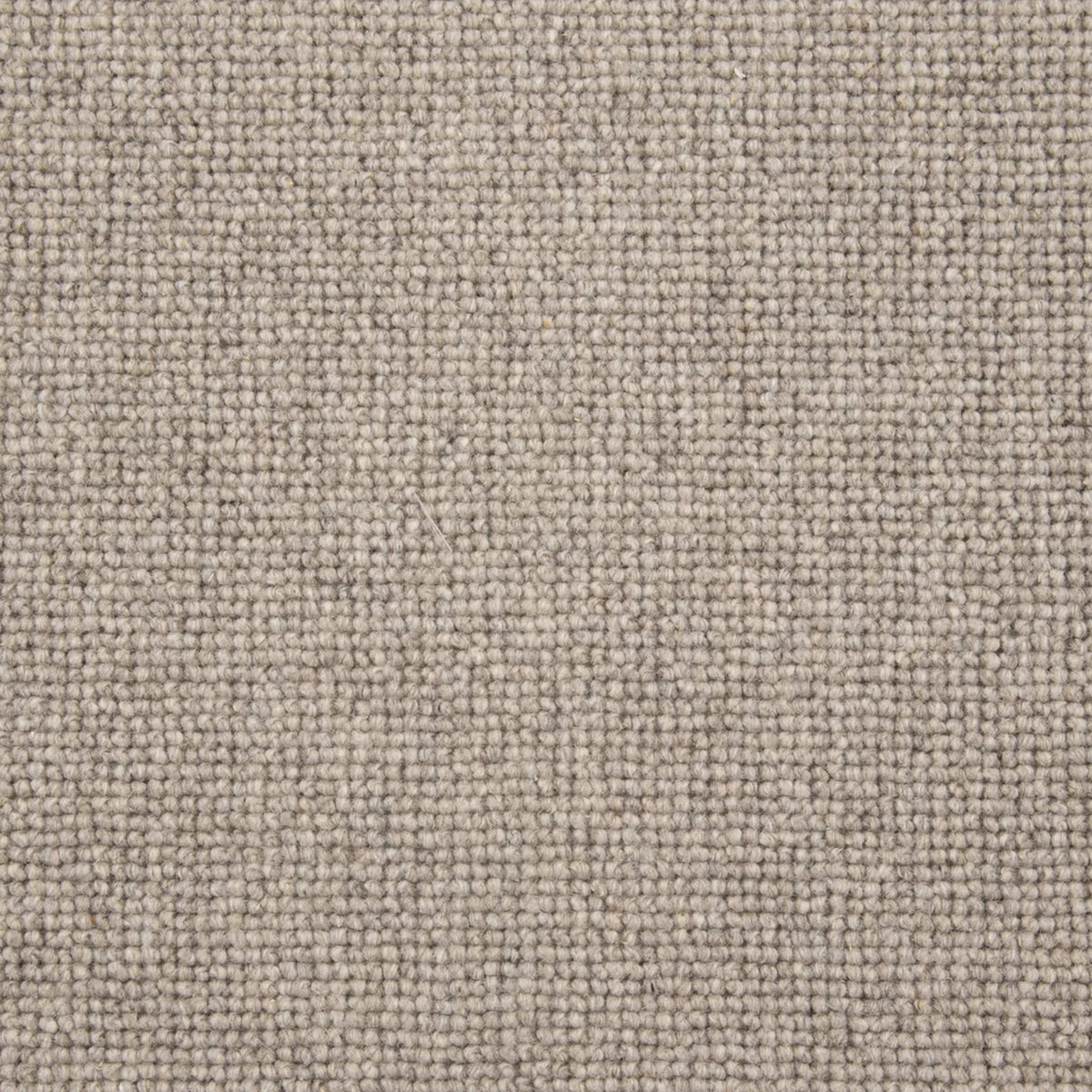 Brewer in Etched Pewter Carpet