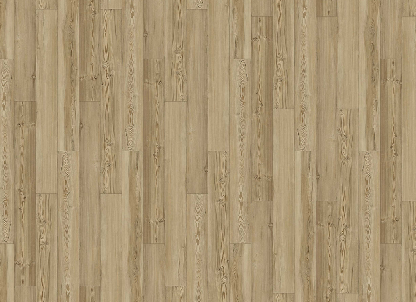 Innovious - Curio in Briar Pine