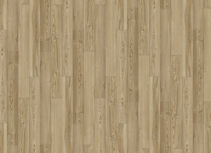 Innovious - Curio in Briar Pine