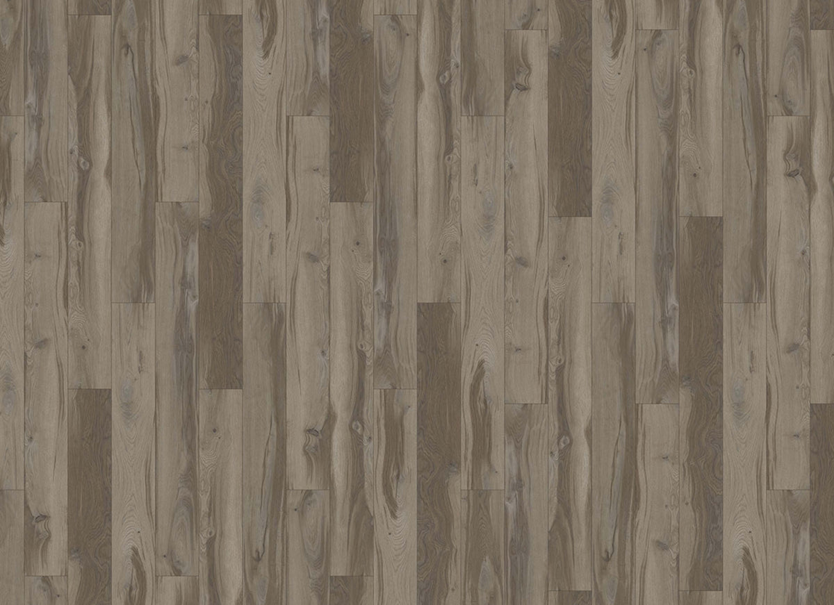 Innovious - Curio in Brighton Oak