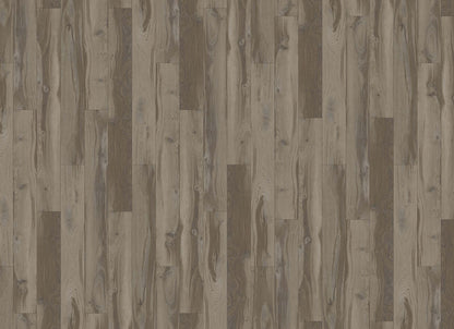 Innovious - Curio in Brighton Oak
