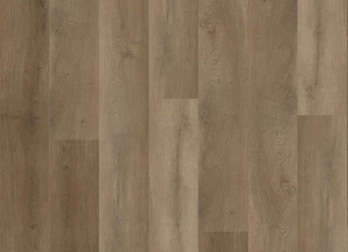 Natural Beauty Lux 9XL - Bristol Point in Ash Brown