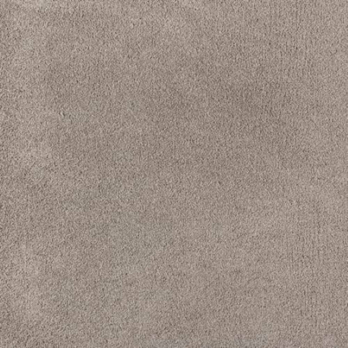 Artisan in Canvas Carpet