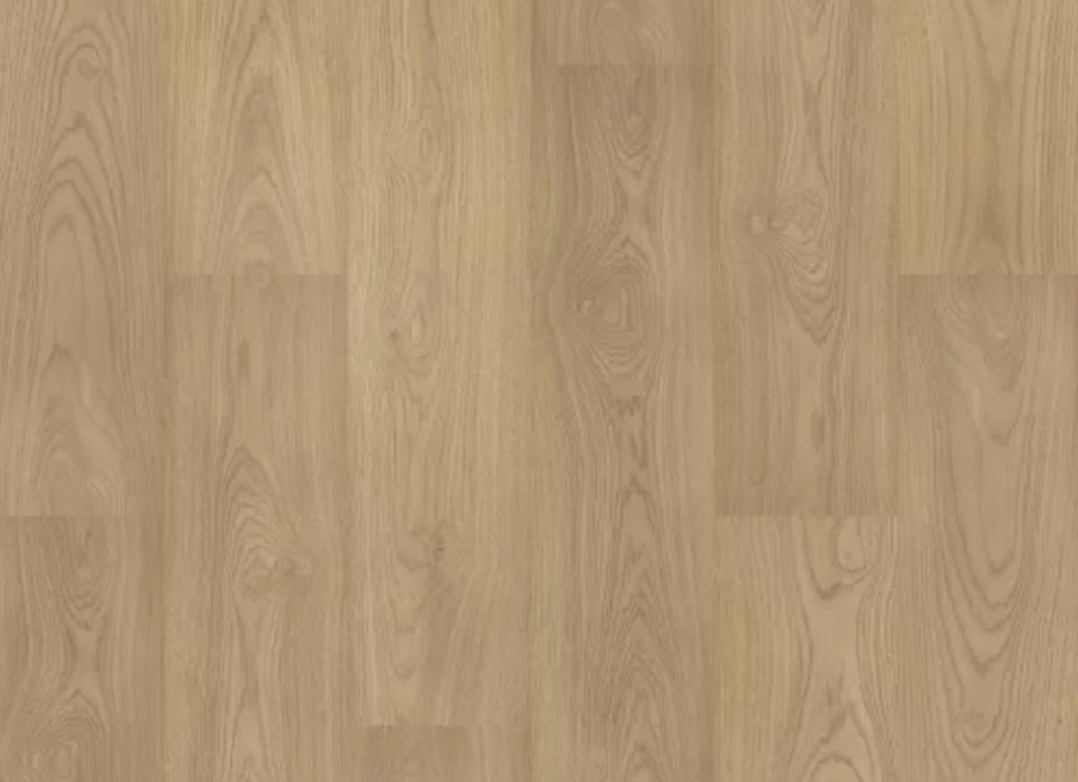 Eden Ranch in Stallion Hickory