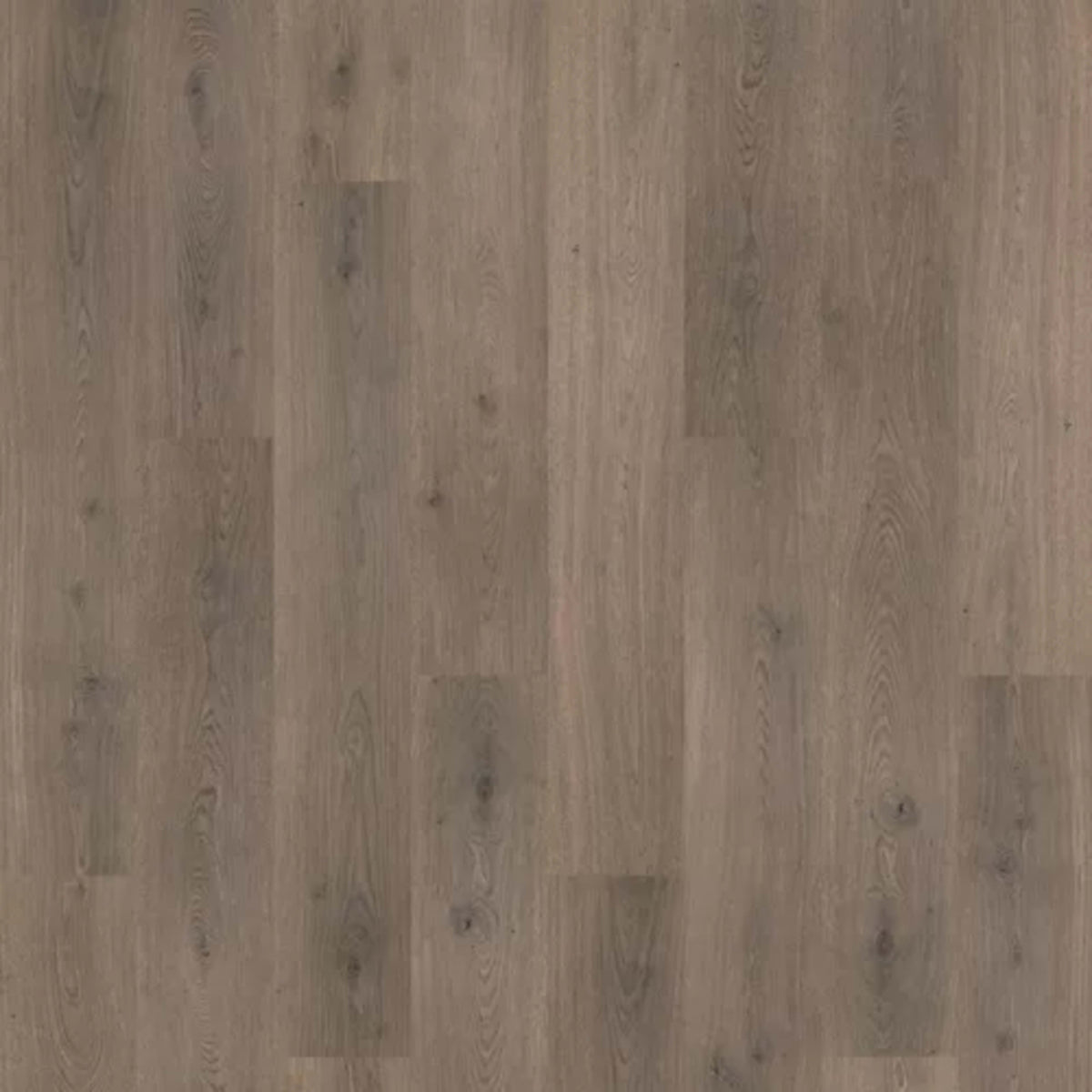 Hampton Lake in Cloudy Oak Laminate
