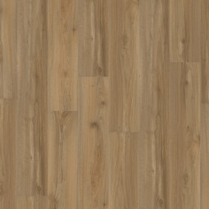 Chassis Advantage Plank in Backbone Luxury Vinyl