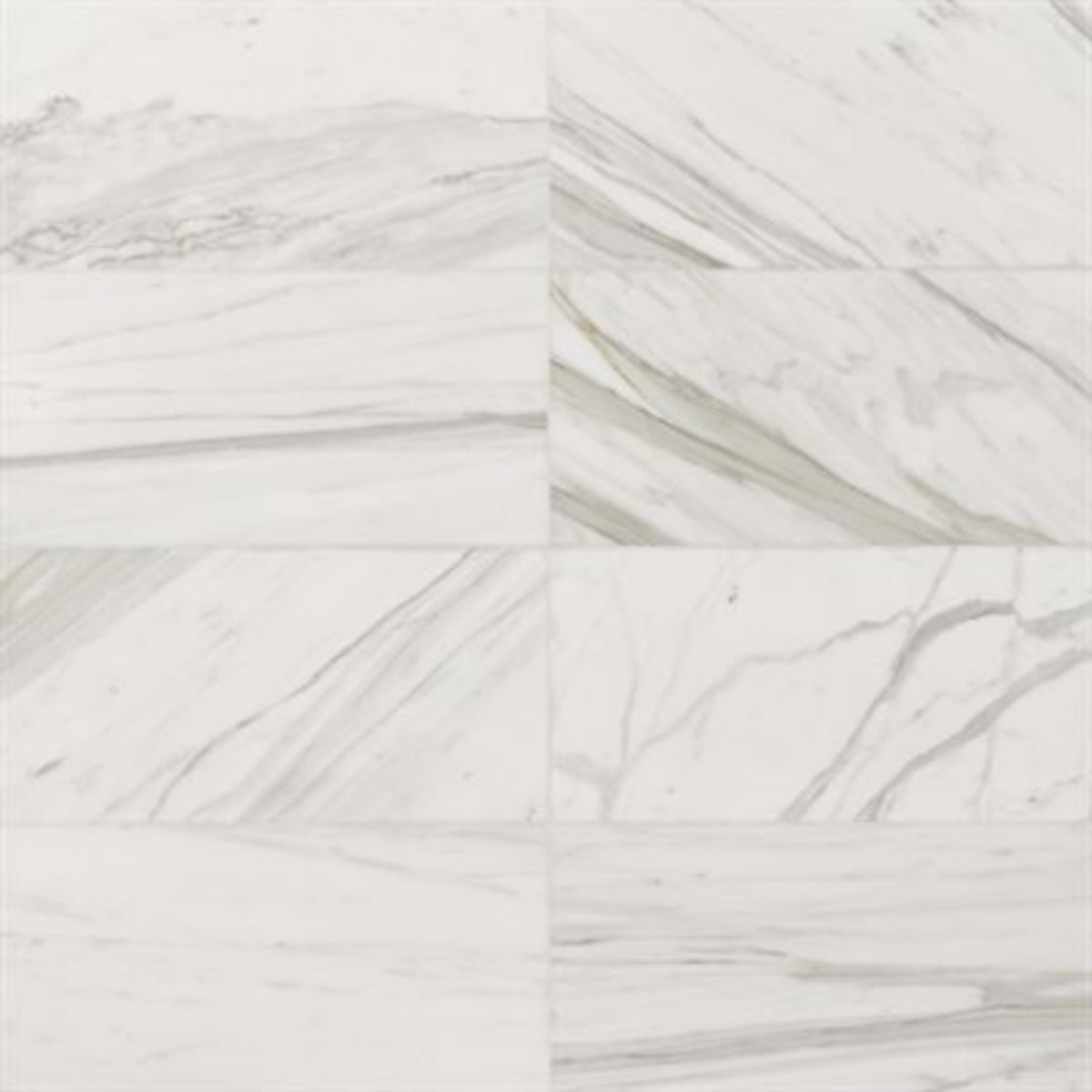 Calacatta in Calacatta Gold Honed 12x24 Natural Stone