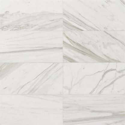 Calacatta in Calacatta Gold Honed 12x24 Natural Stone