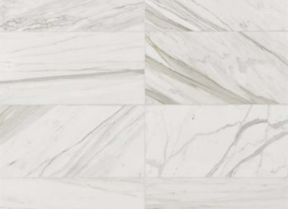 Calacatta in Calacatta Gold Honed 12x24