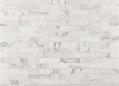 Calacatta in Calacatta Gold Honed 2x8