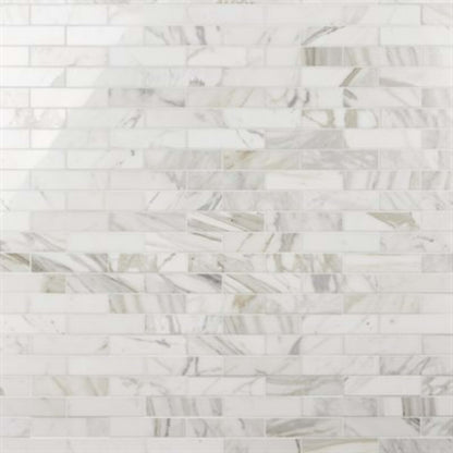 Calacatta in Calacatta Gold Polished 2x8 Natural Stone