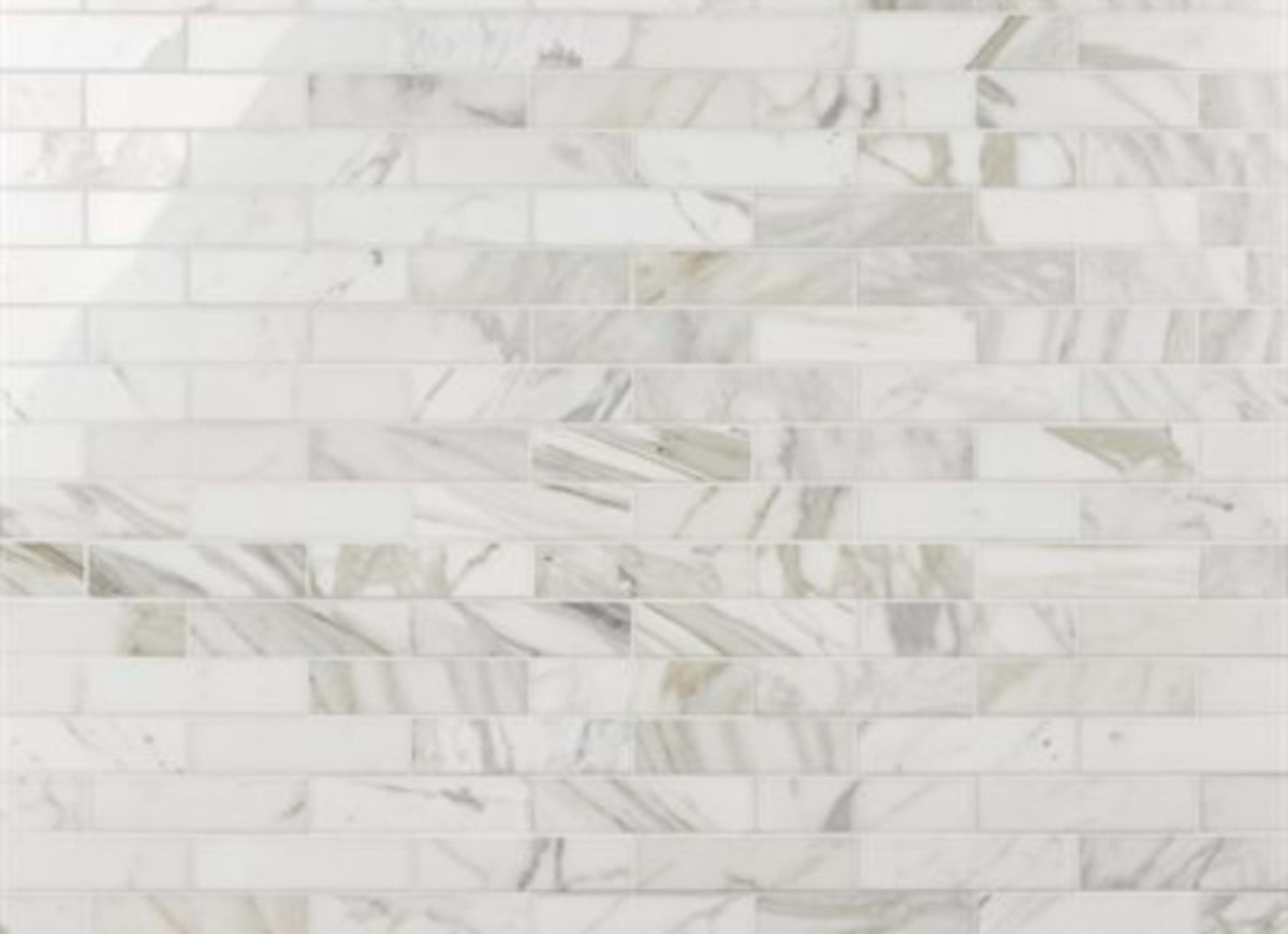 Calacatta in Calacatta Gold Polished 2x8