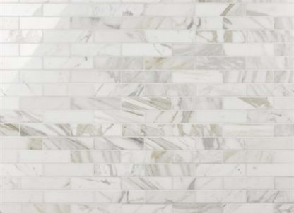 Calacatta in Calacatta Gold Polished 2x8