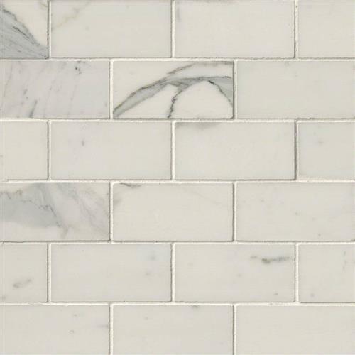 Calacatta Marble in Calacatta Marble - 2x4 Natural Stone