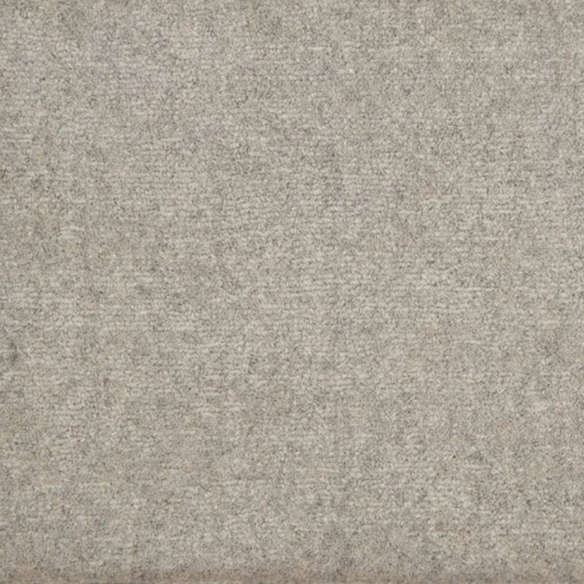 Cambria in Cloud Carpet