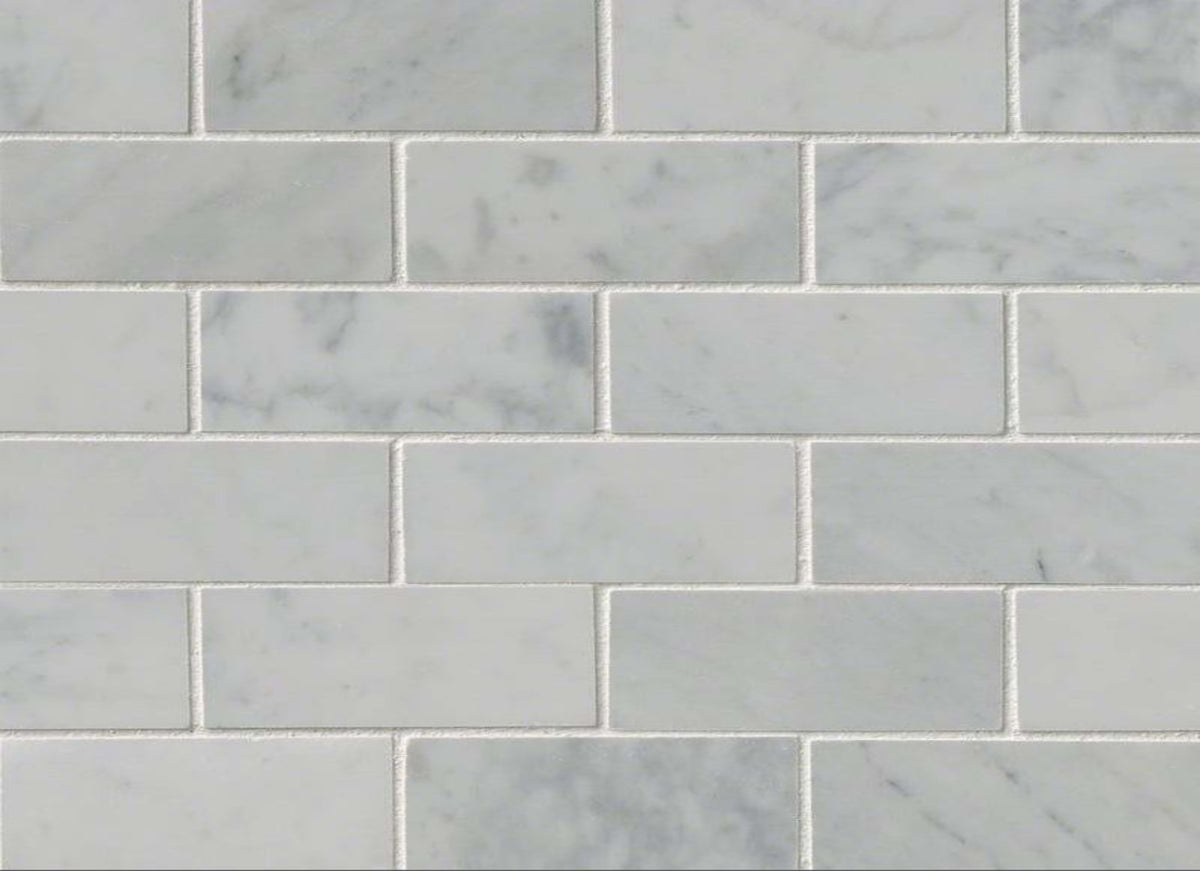 Carrara White in Carrara White - 2x4