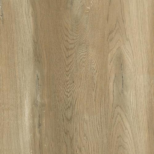 AEQUA in Tur Tile
