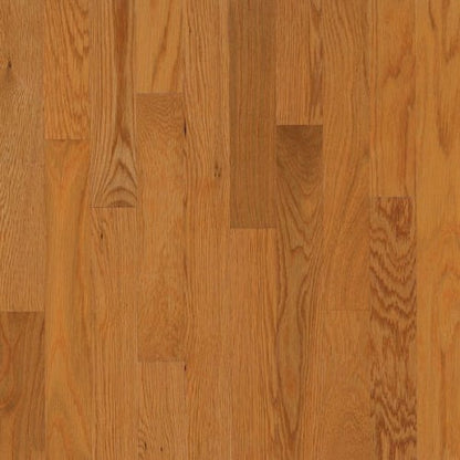 Dundee White Oak Solid in Butterrum 3-1/4"