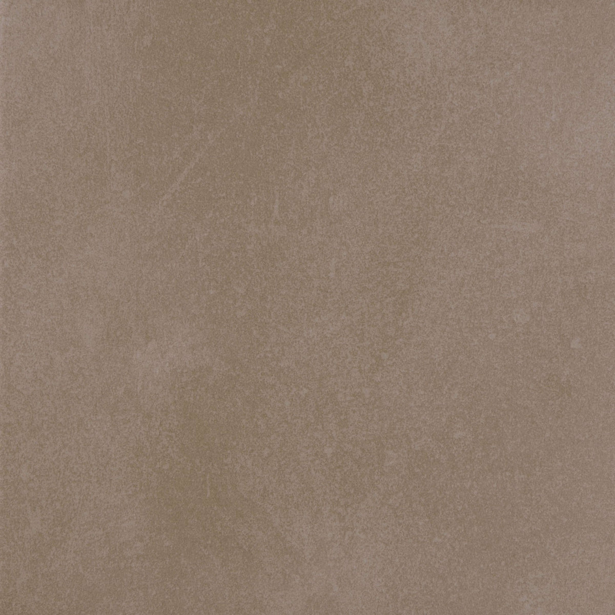 Color Blox 2.0 in Sea Otter 12"x24" Tile