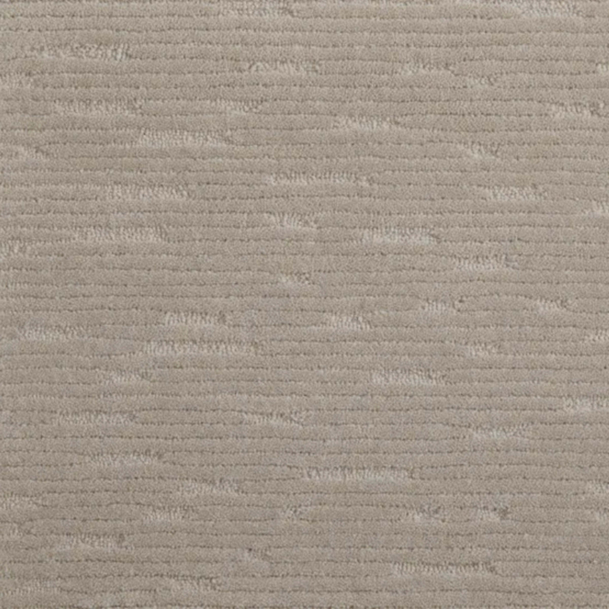 Centerport in Seal Carpet