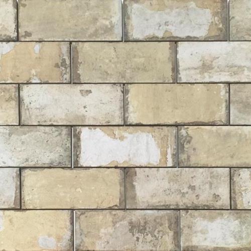 Havana in Tropicana 2x11 Tile