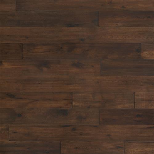 Coastal Lowlands in Porter Hardwood