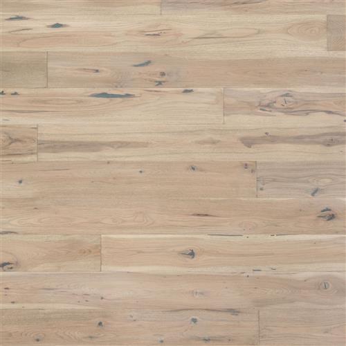 Coastal Lowlands in Sunbaked Hardwood