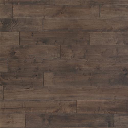Coastal Lowlands in Clay Hardwood