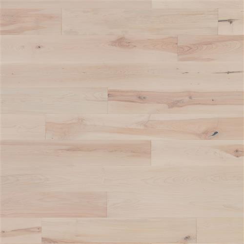 Coastal Lowlands in Sand Hardwood
