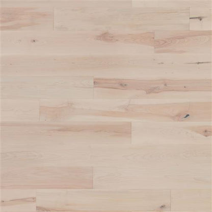 Coastal Lowlands in Sand Hardwood
